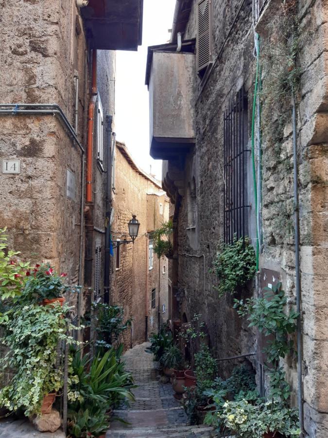 Historical Domus Διαμέρισμα Anagni Εξωτερικό φωτογραφία