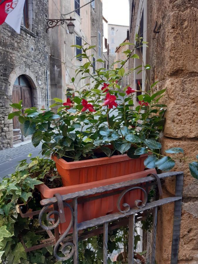 Historical Domus Διαμέρισμα Anagni Εξωτερικό φωτογραφία